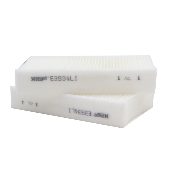 Filtro de Cabine Hengst E3934LI-2 BMW X3, X4 - Cód.10573