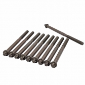  Parafuso Cabeçote Elring 249.210 BMW X5, X6 - Cód.12146